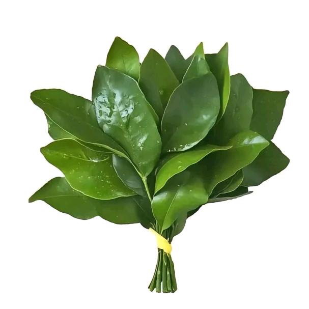 刀点木