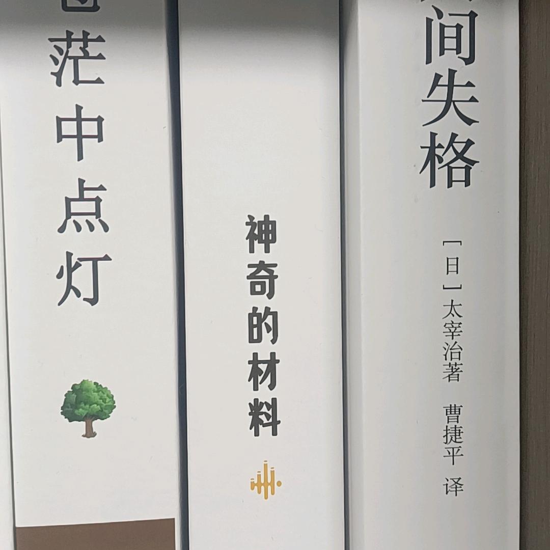 力力自媒体