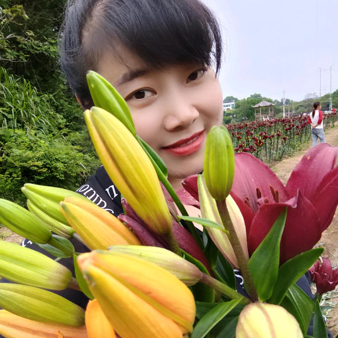 飞飞