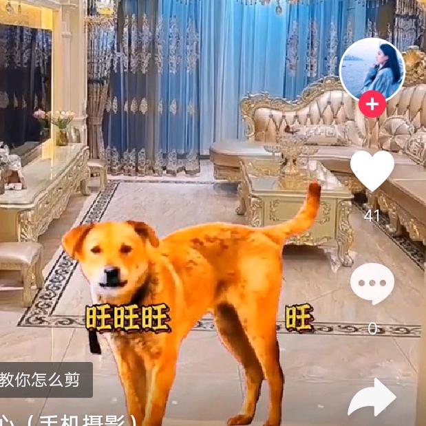 让爰ℋღ᭄幸福🍒᭄💞࿐