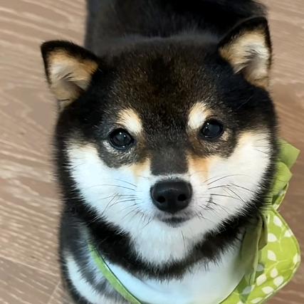晴