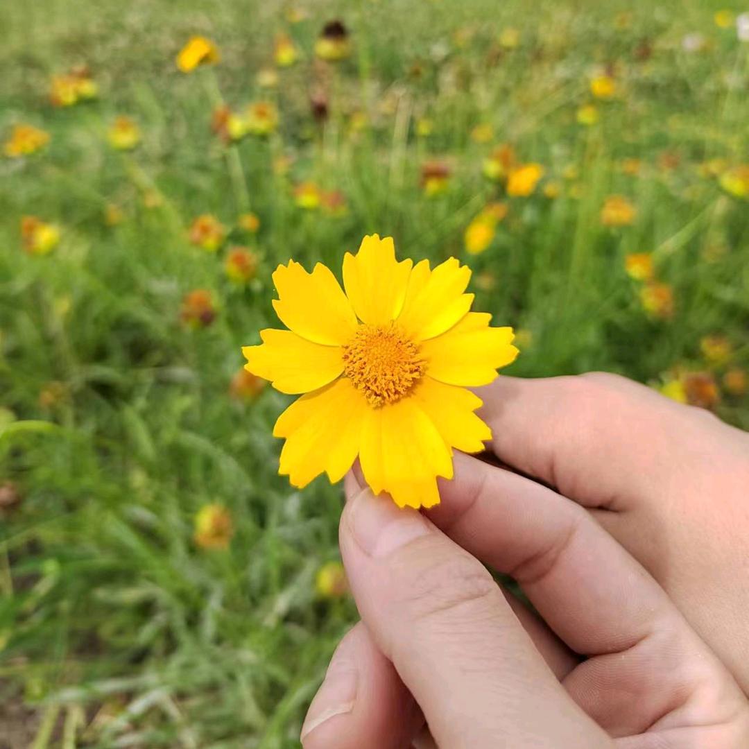 成长的道路上充满了荆棘