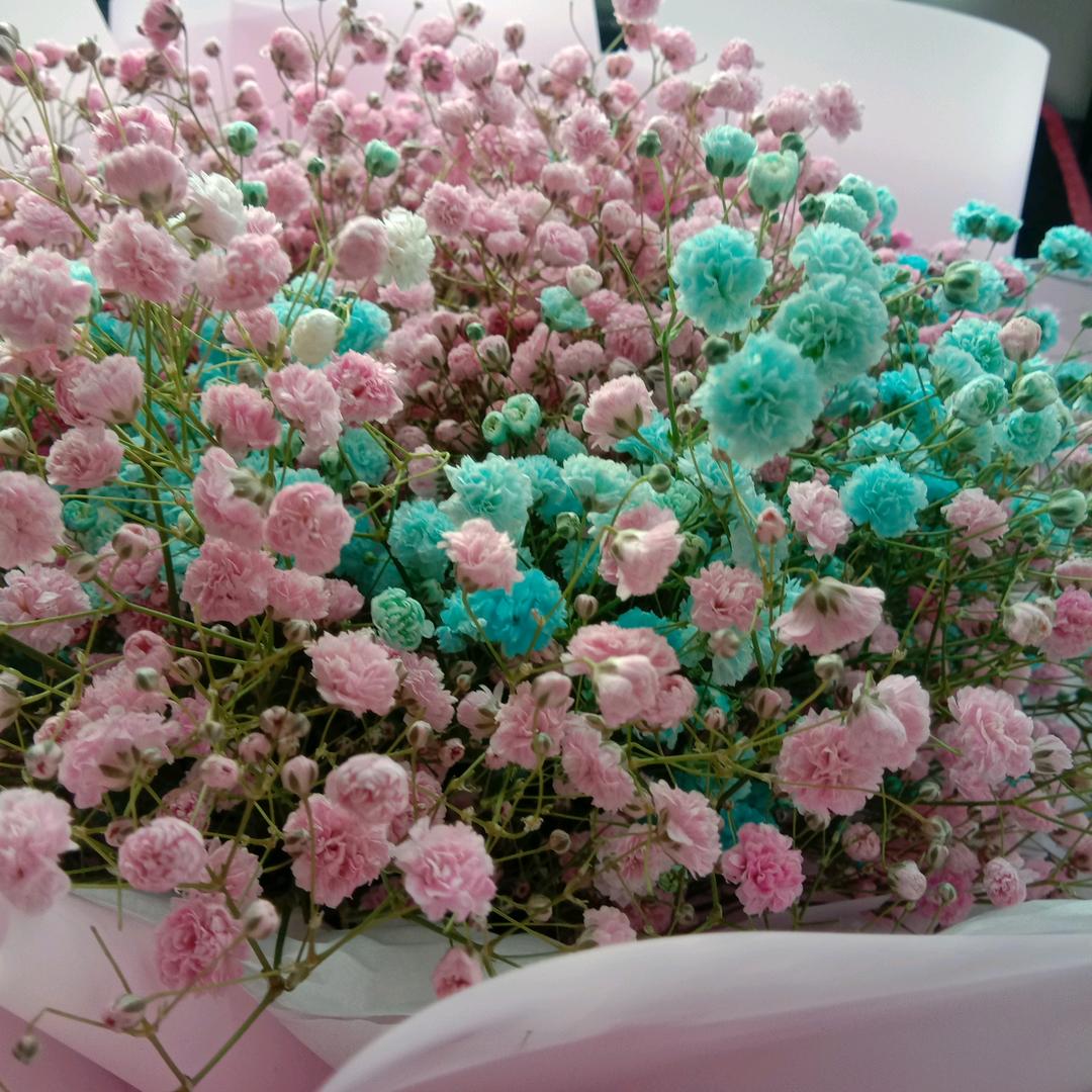 天天有个好心情