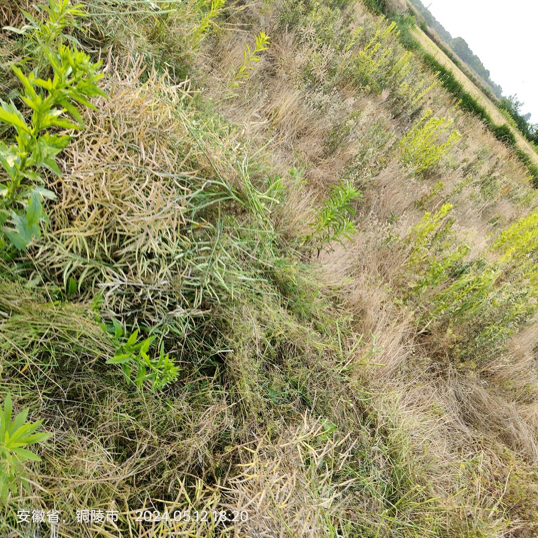 炒股挣钱养家的打工人