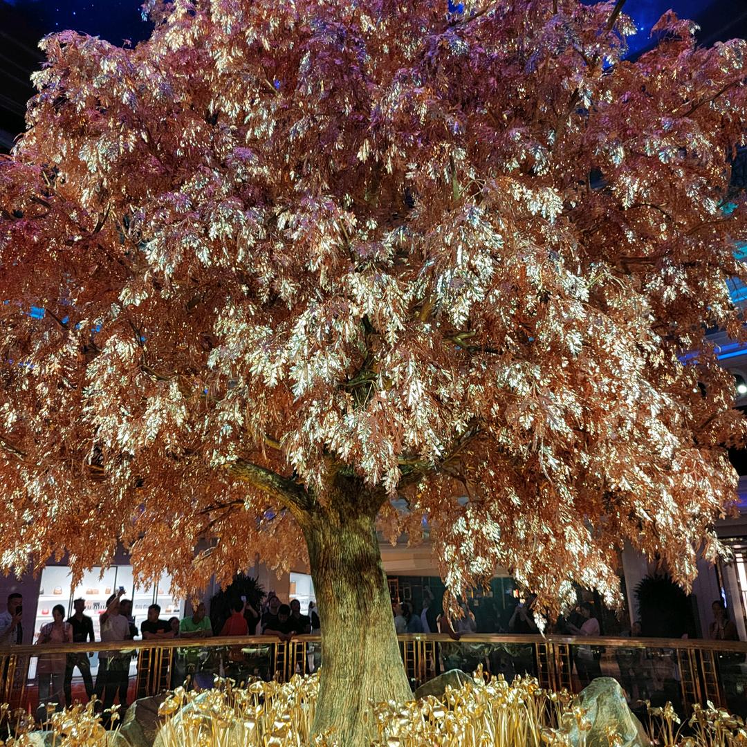 我来人间看场戏