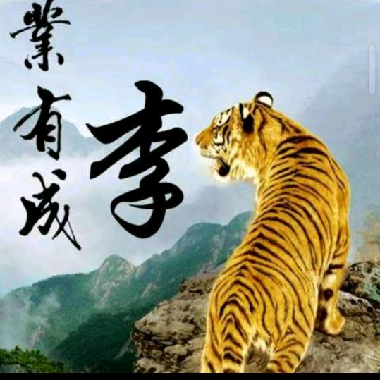 一切随缘，勇哥