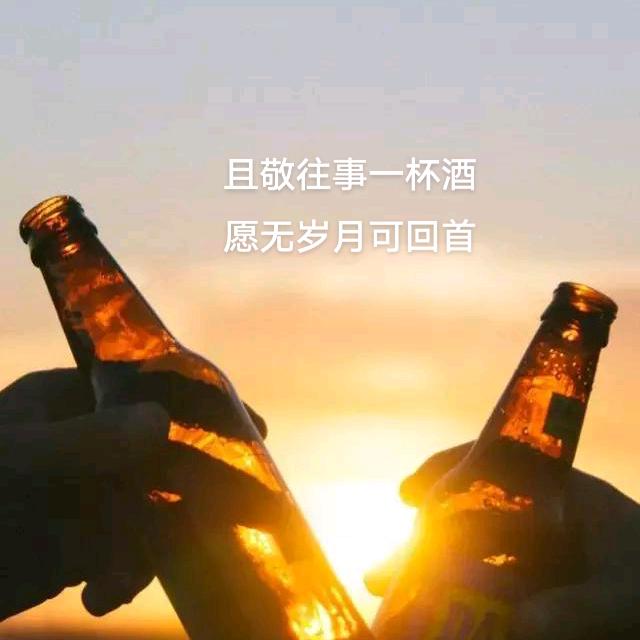 纵使相逢应不识