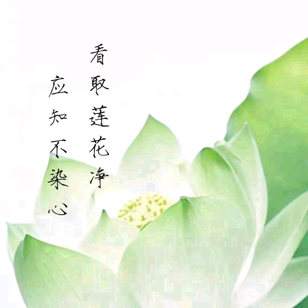 默語(長風書房)