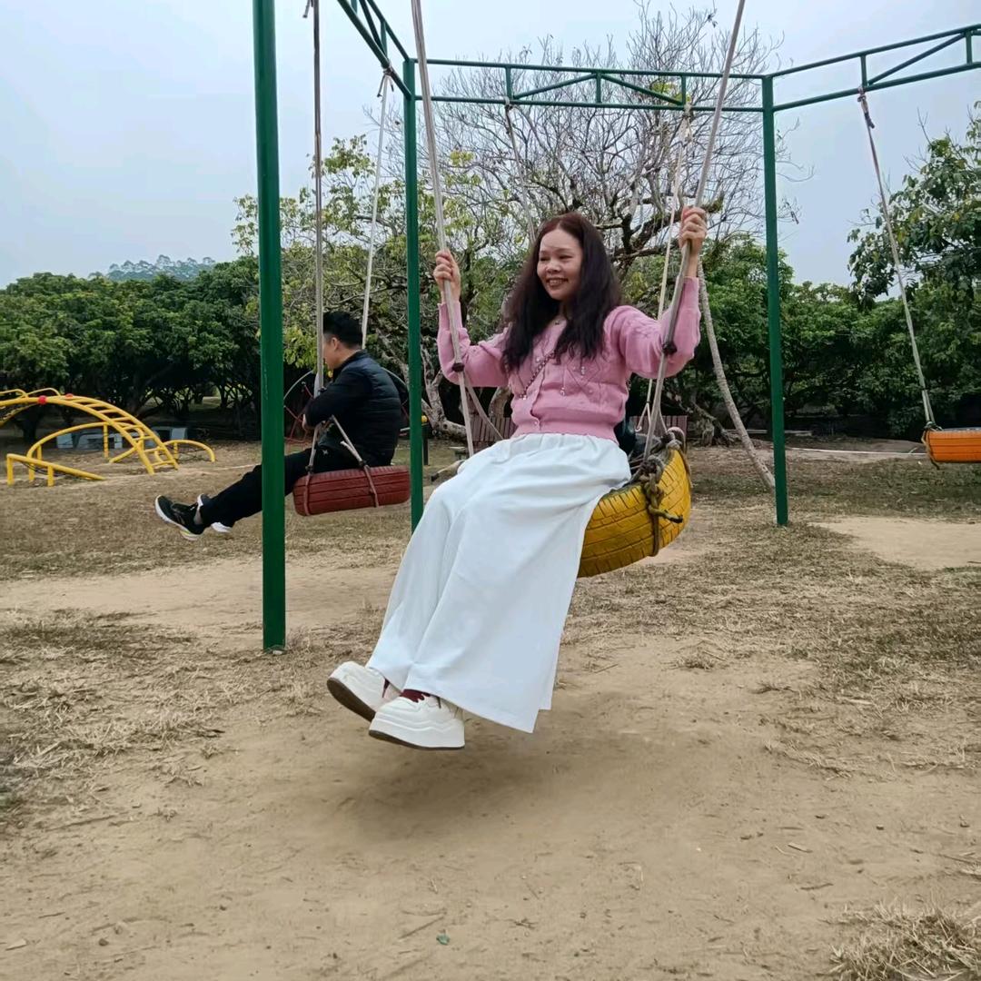柿柿如意