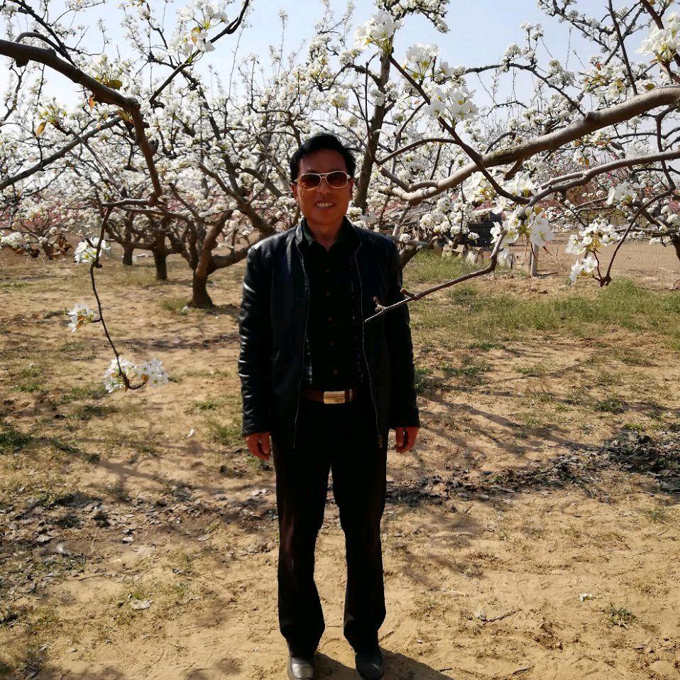 漂泊的心