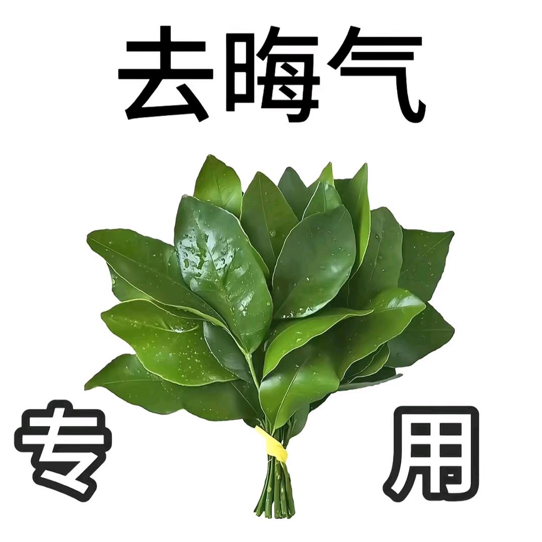 派小星