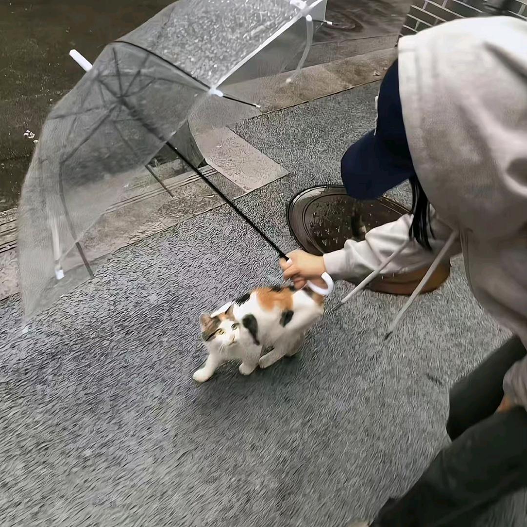黄博文