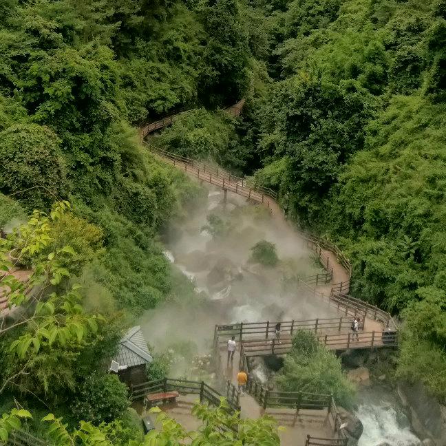 三棵树(漆)