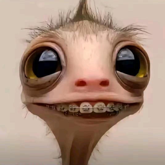 咲咲ᯠ_   ̫ _ᯄ