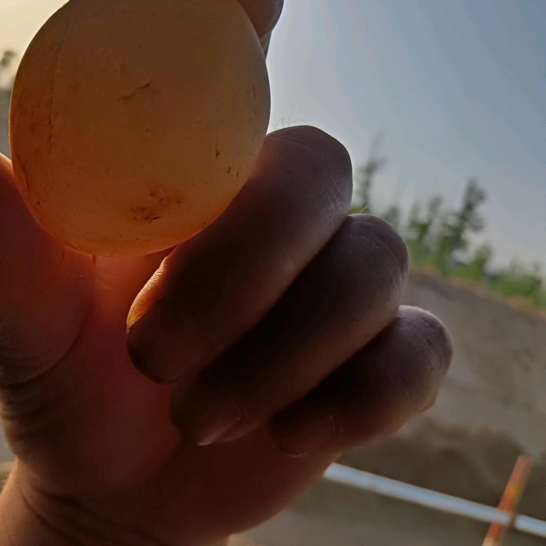 老曹，是人生的过客