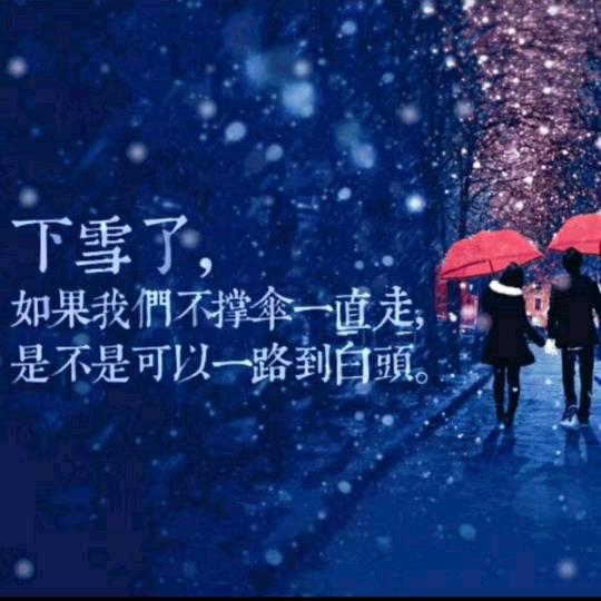 🌻无心💞