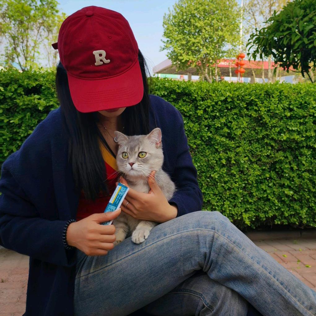 宋念