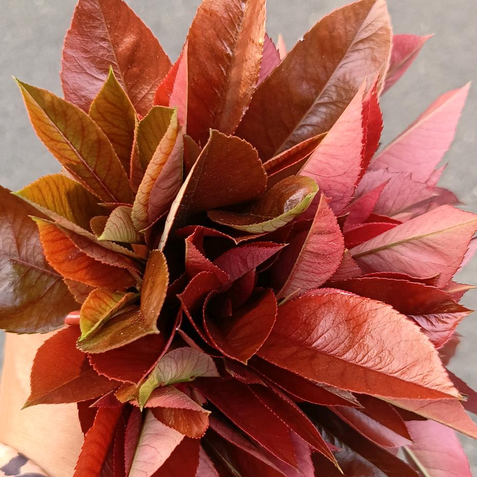 用户42784356492437