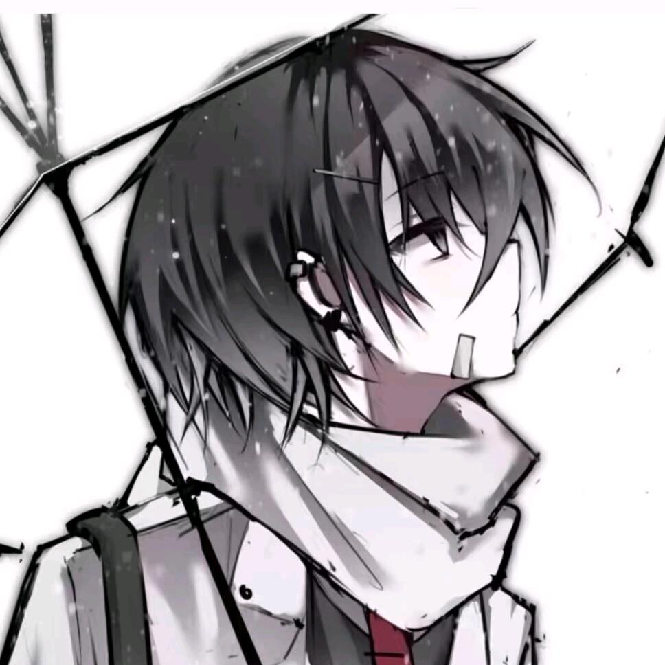 博