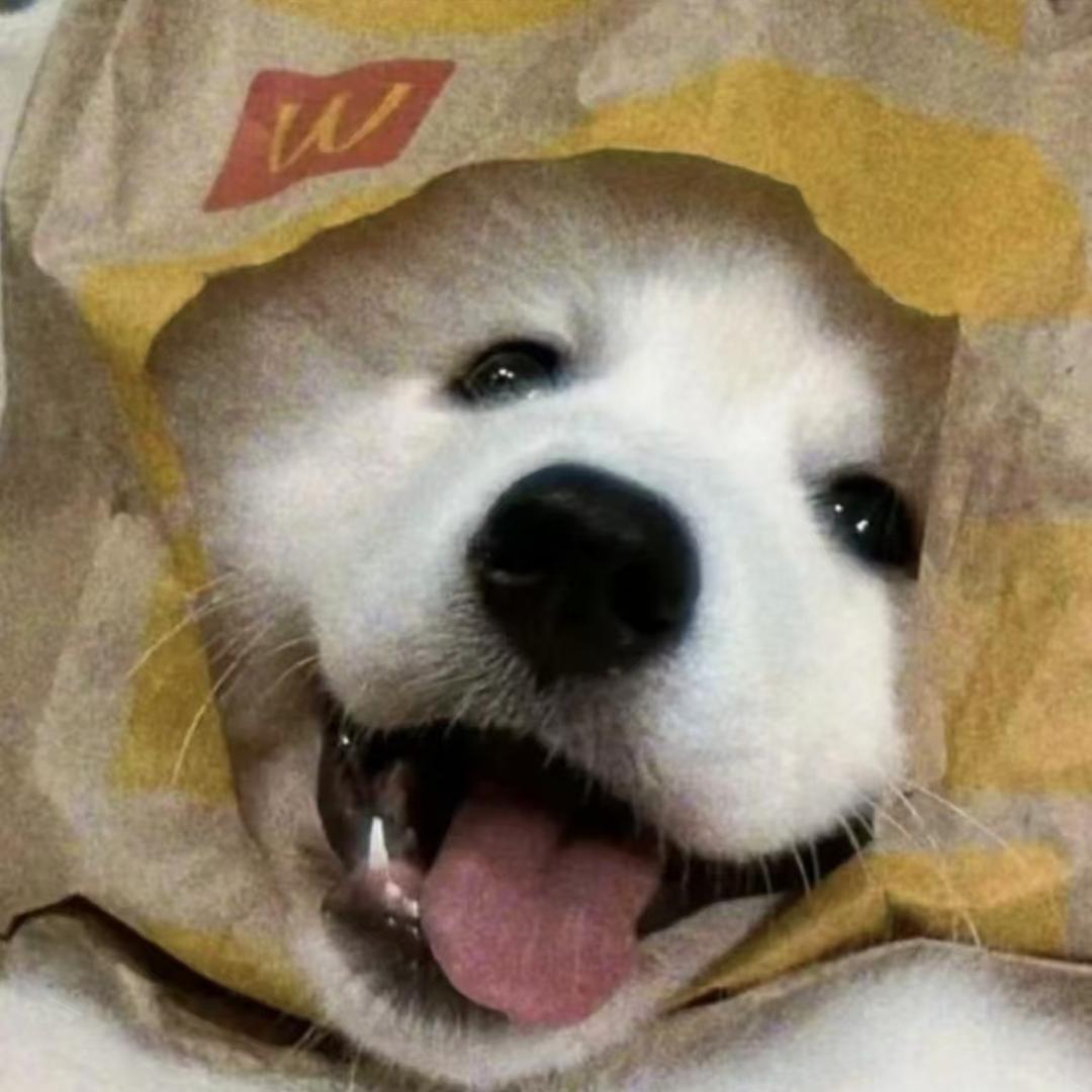 养乐多 .(ˇ◕🐽◕ˇ)