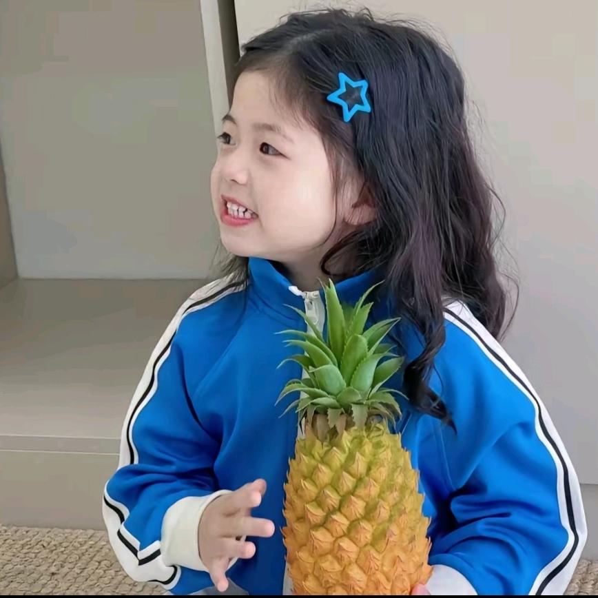六一一的菠萝