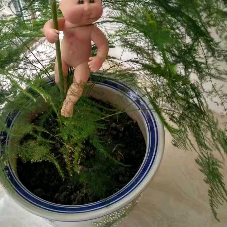 大菠萝C欢迎您