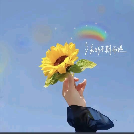 福宝🤗