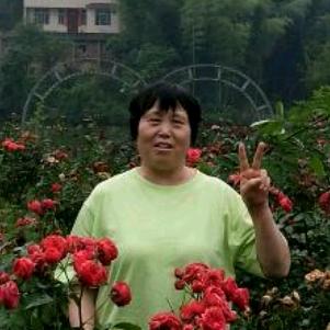 朵凝奶【08:30】