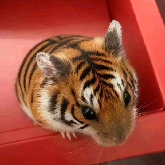 Me每天都很想呼吸