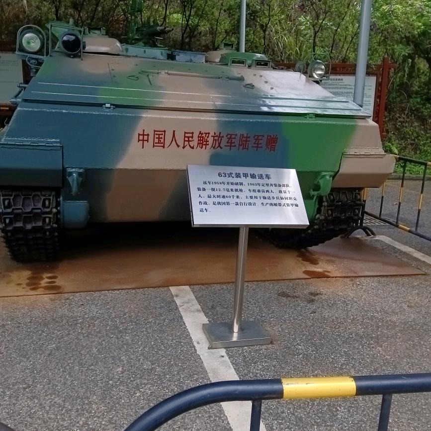 鸽之生