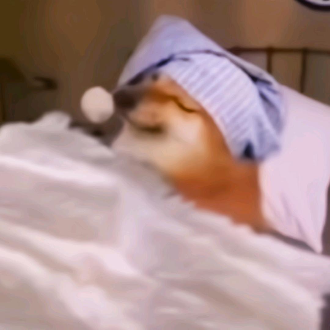肆不辽