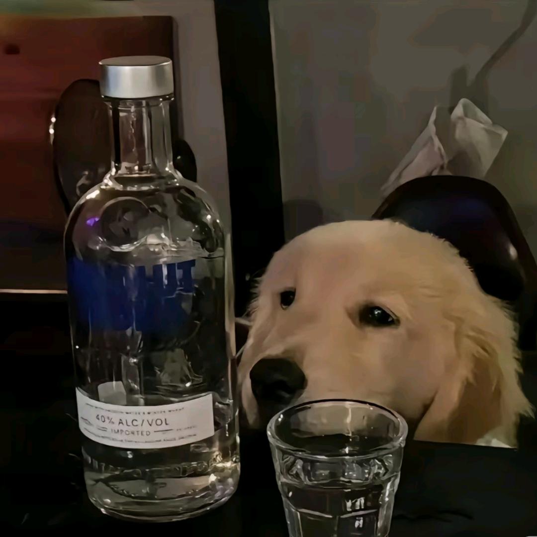 Wenyの咒语