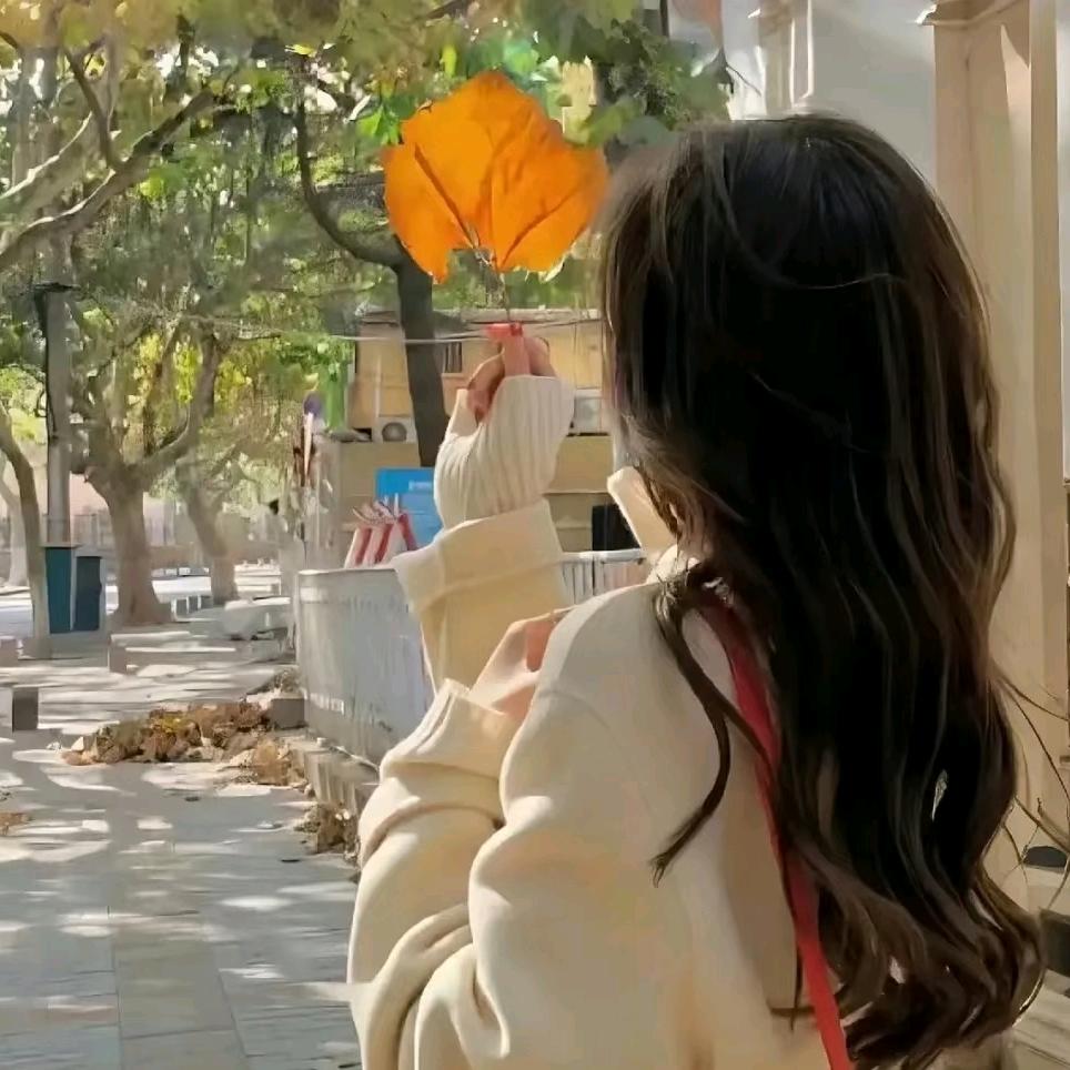 财神爷的白月光