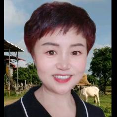 凤大姐