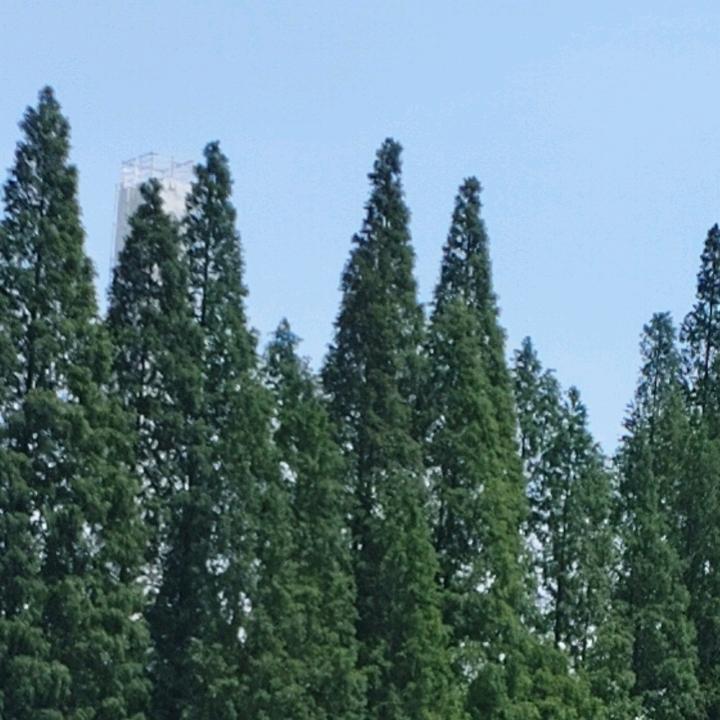 重新开始