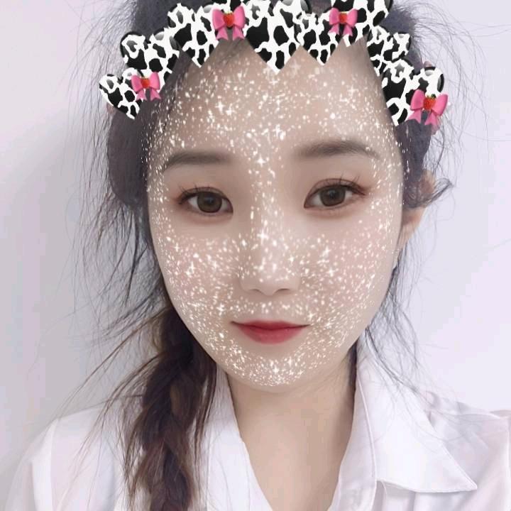 高乐高