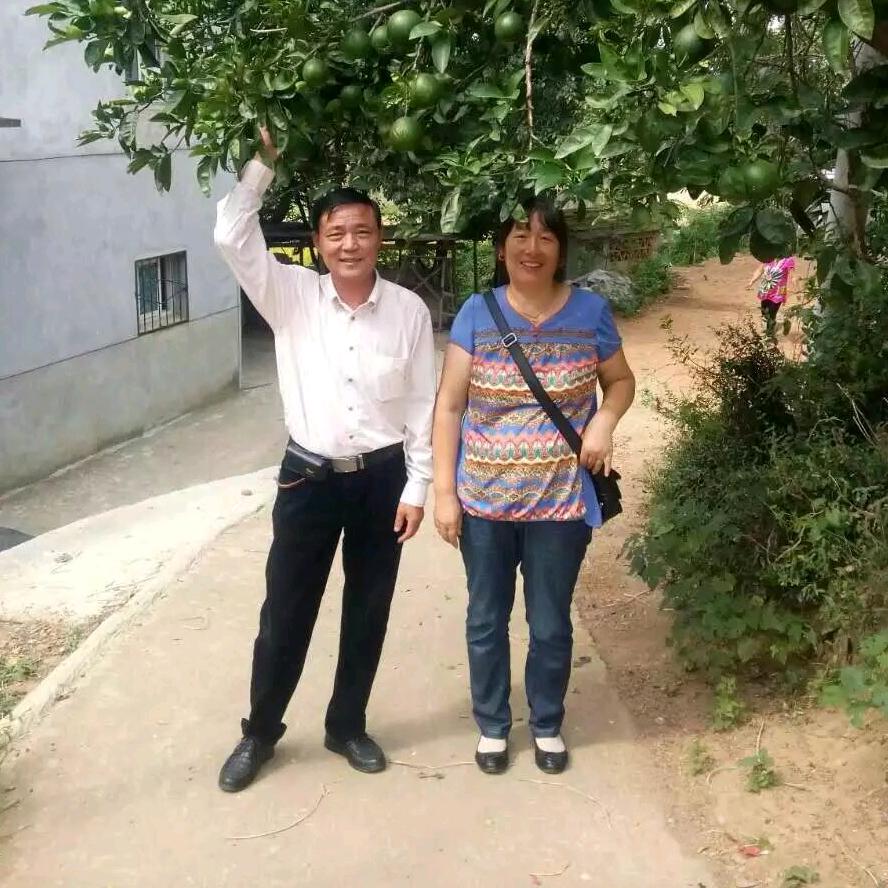 黄陂火庙马秀豆丝