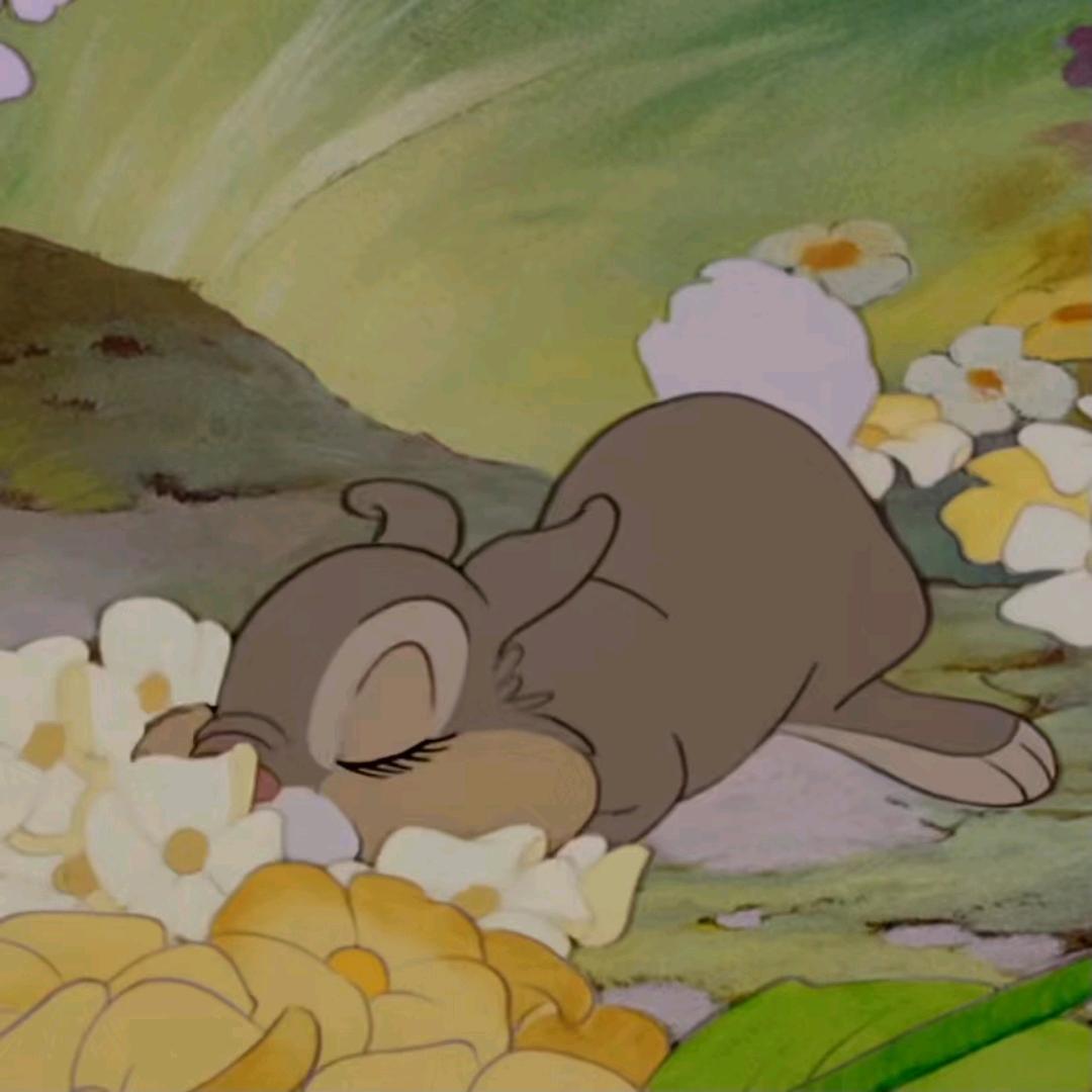 可不可以不失眠_