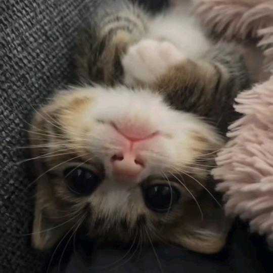 被简哥拒绝1亿次