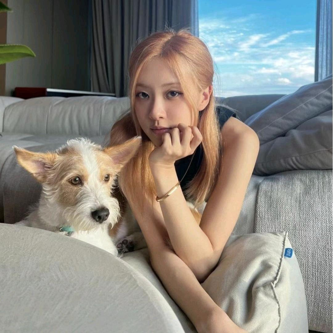 蜡笔小新