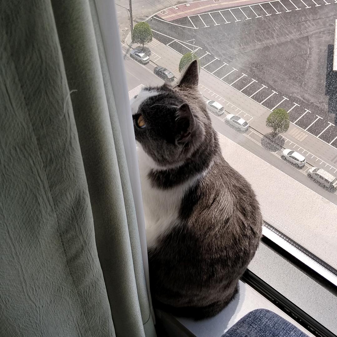 半夏♥(｡￫v￩｡)♥