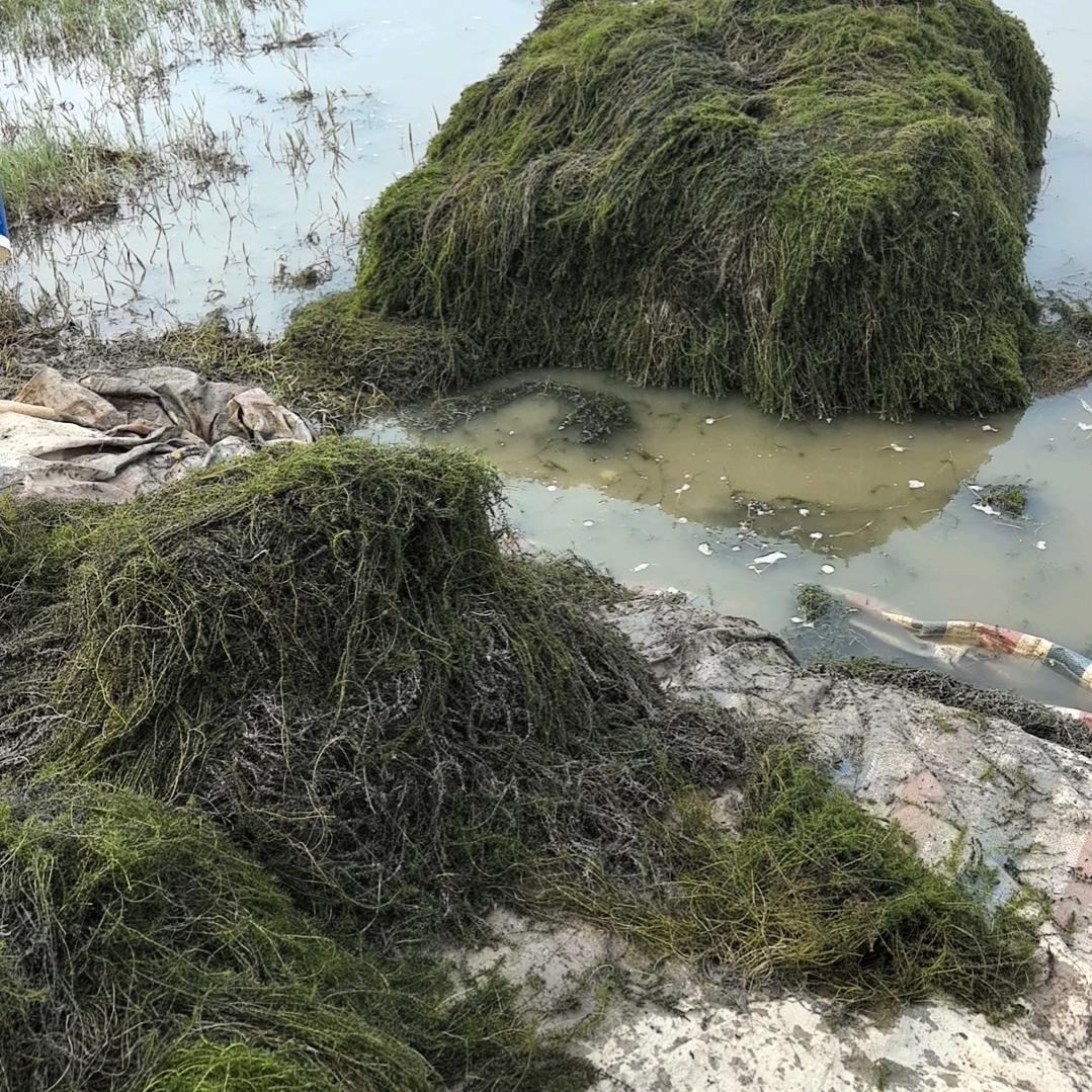 用户936394人生如梦一晃而过