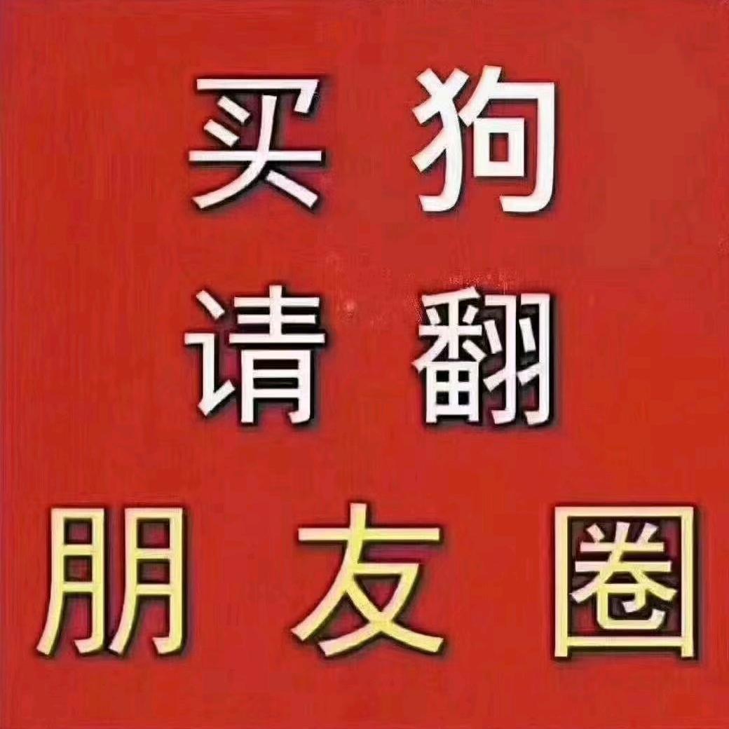 顺城田园犬
