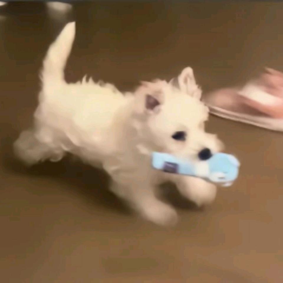 昵称太过强大无法显示