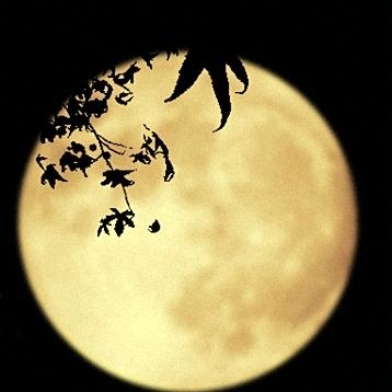 🍋打不着的火机