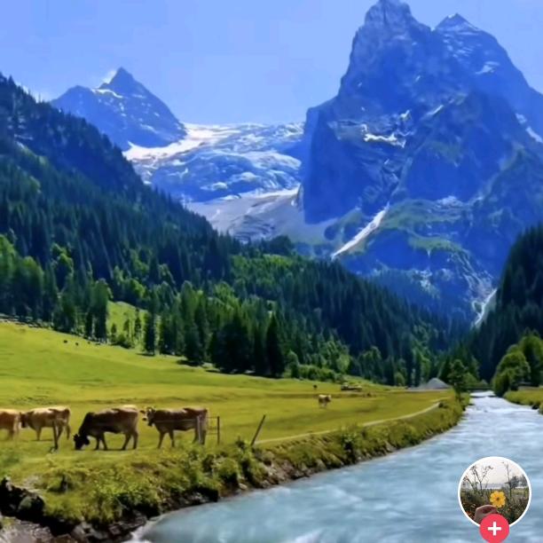 青山绿水