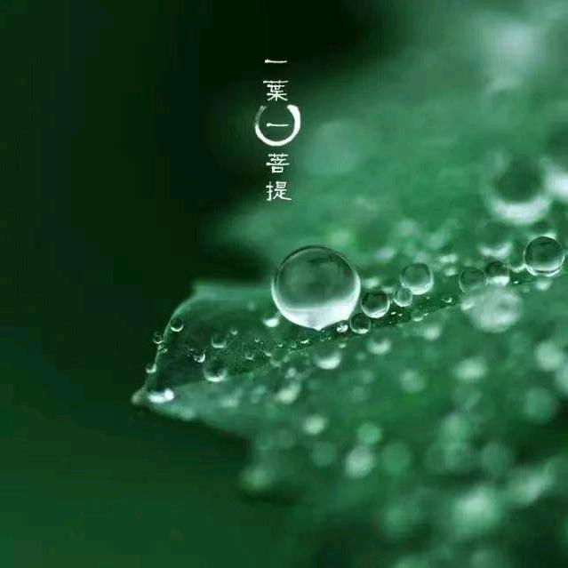 翰霖💦