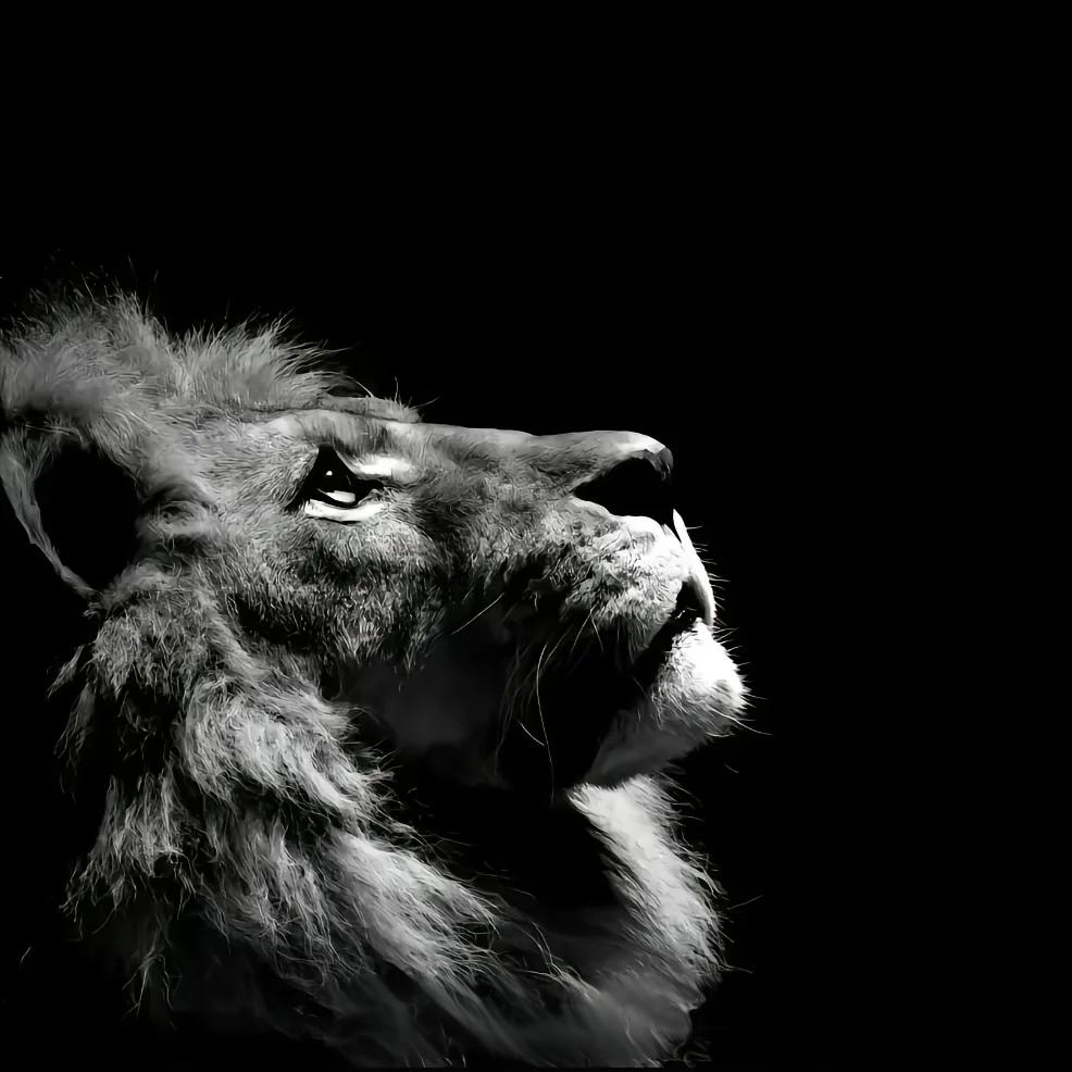 Được ịe  🇻🇳