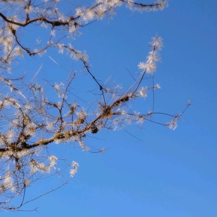 南山居士