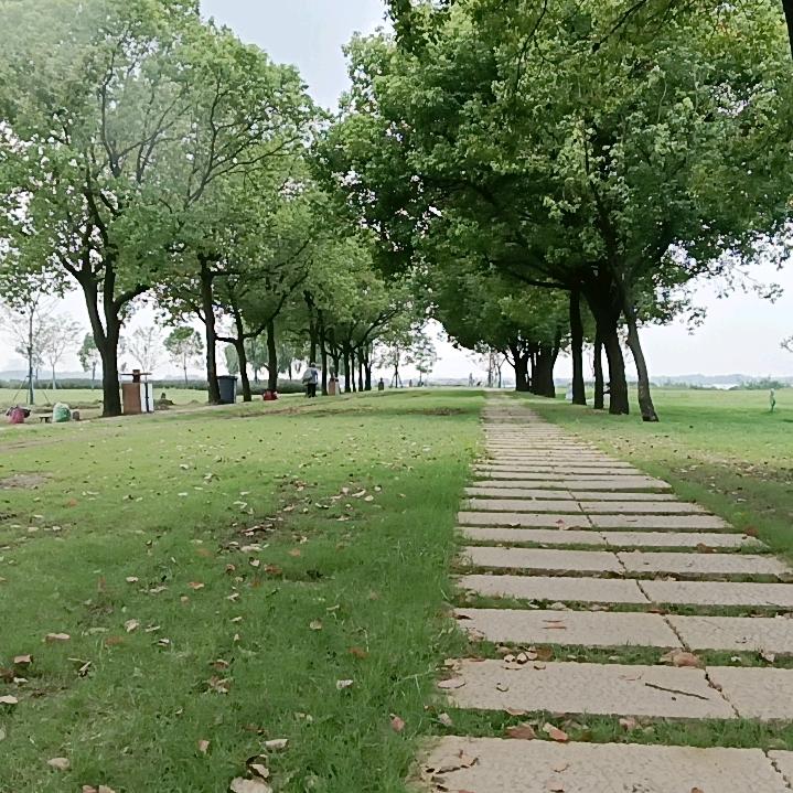 芦台.汉沽丽娜蒸饺馄饨